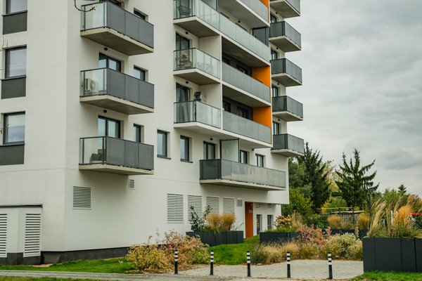 Wat zijn de voordelen van het aanplanten van inheemse planten?